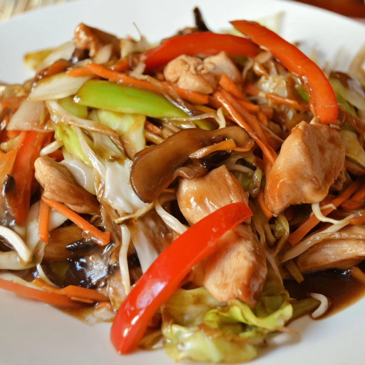 Homemade Chop Suey featuring sliced pork, bell peppers, bean sprouts, and cabbage in a thickened brown glaze